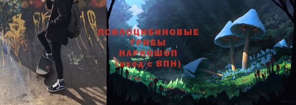 гашик Нефтекумск