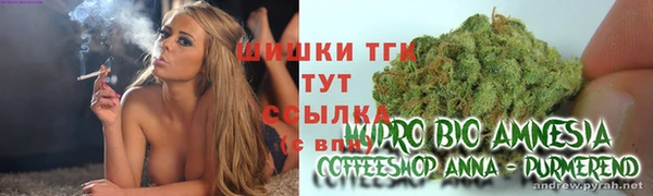 гашик Нефтекумск