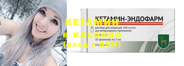 стаф Новодвинск