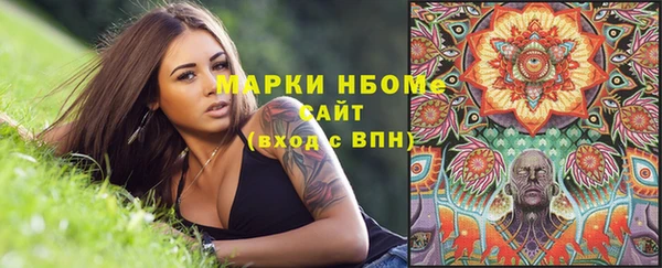 прущие грибы Нея