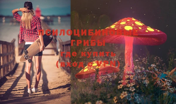 прущие грибы Нея