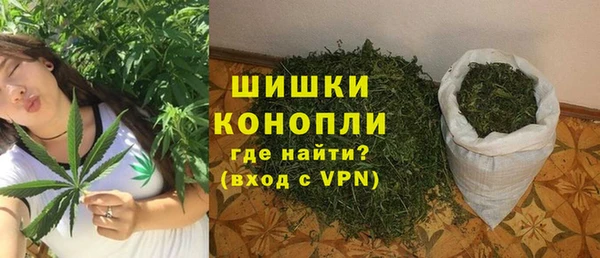 гашик Нефтекумск