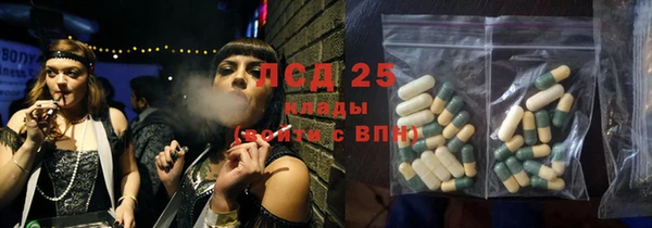 гашик Нефтекумск